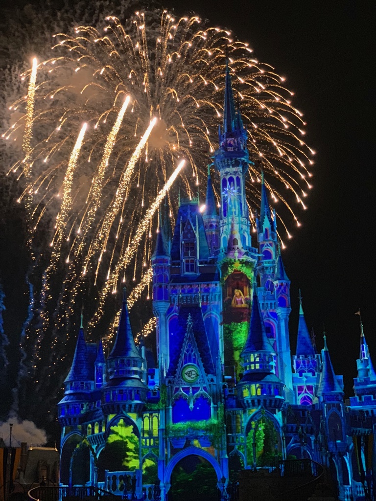 Happily Ever After Wdwマジックキングダム の完全攻略方法を紹介します 京都陸マイラーの旅日記