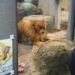 円山動物園〜子連れ札幌旅行〜